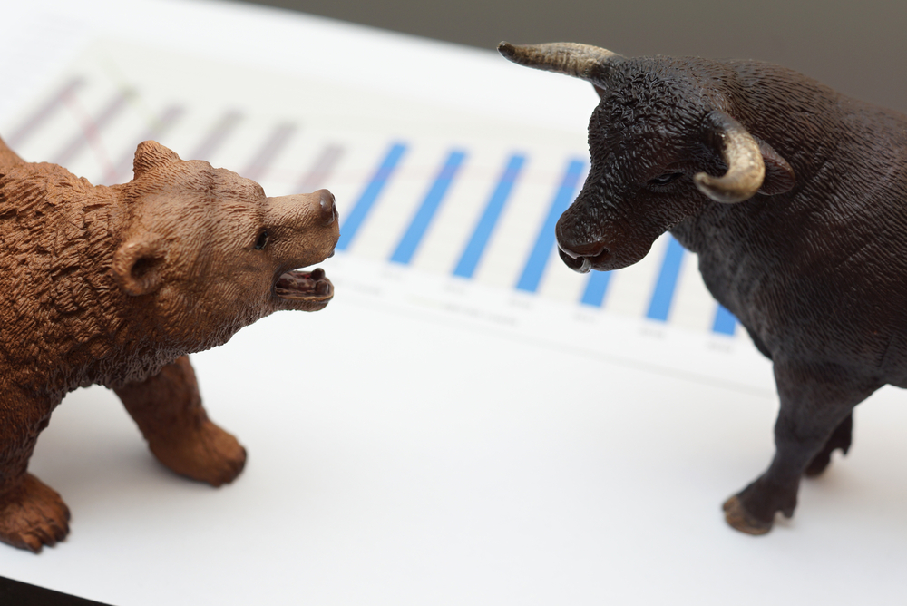 Bull bear market