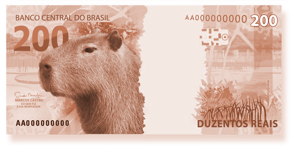 11 ideias de Capivara em 2023  capivara, capivaras, capivara desenho