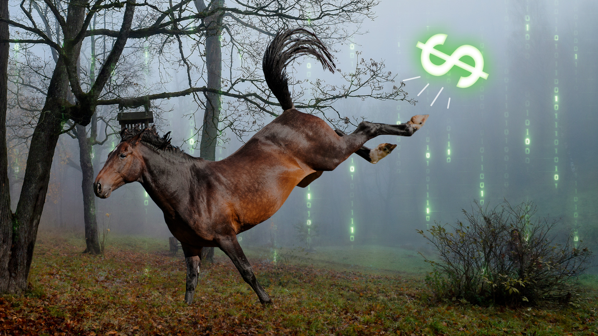 Cavalo Coice Cifrão