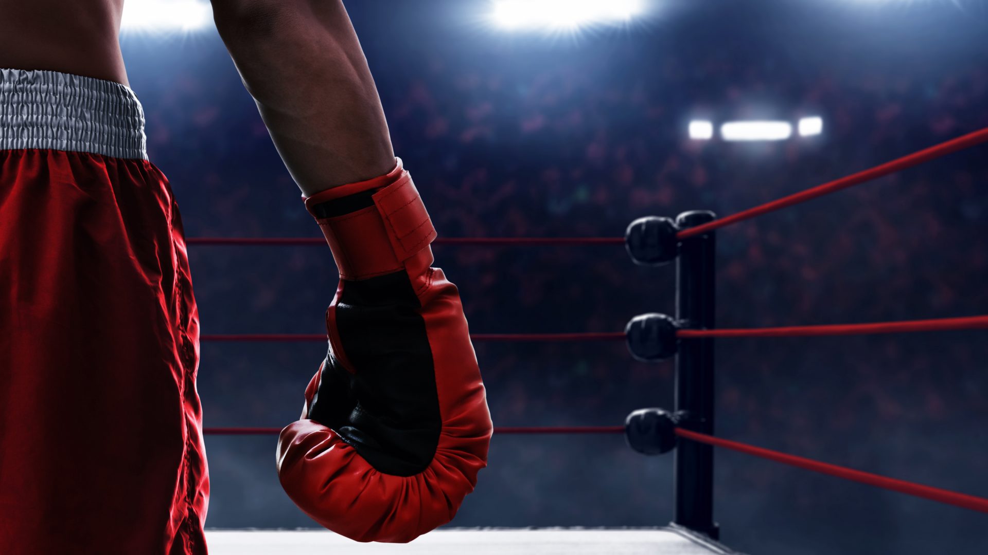 boxe, disputa