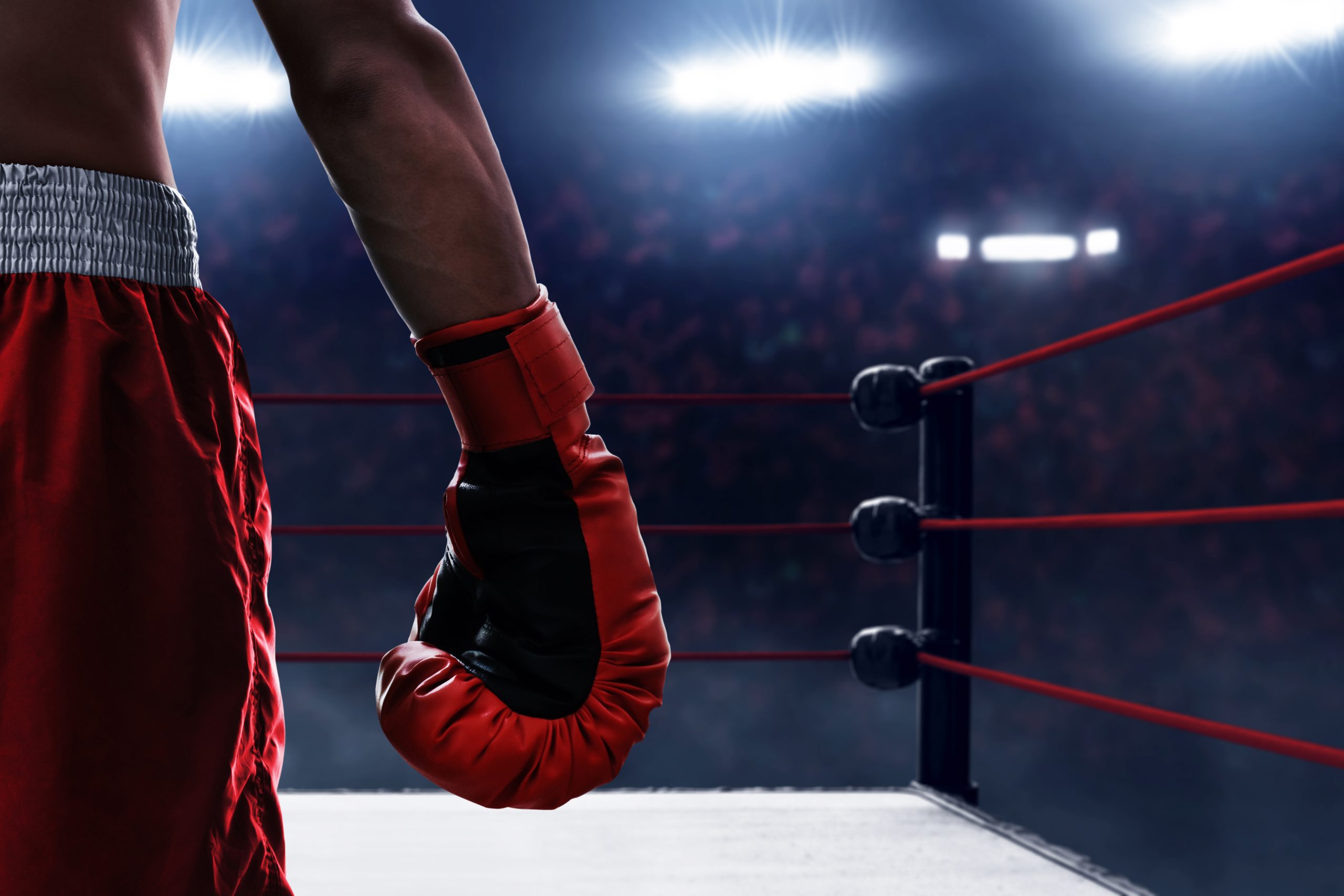 boxe, disputa