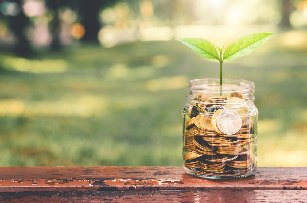 ESG investimento planta moedas