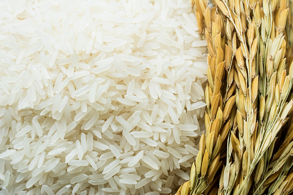 arroz