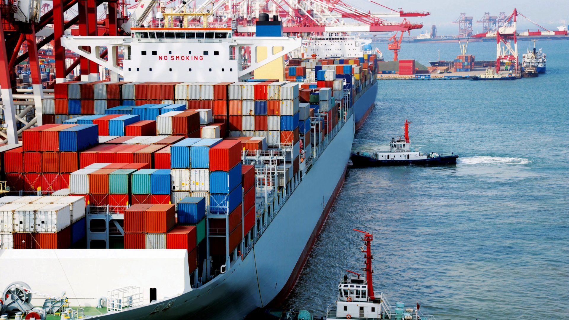 exportação