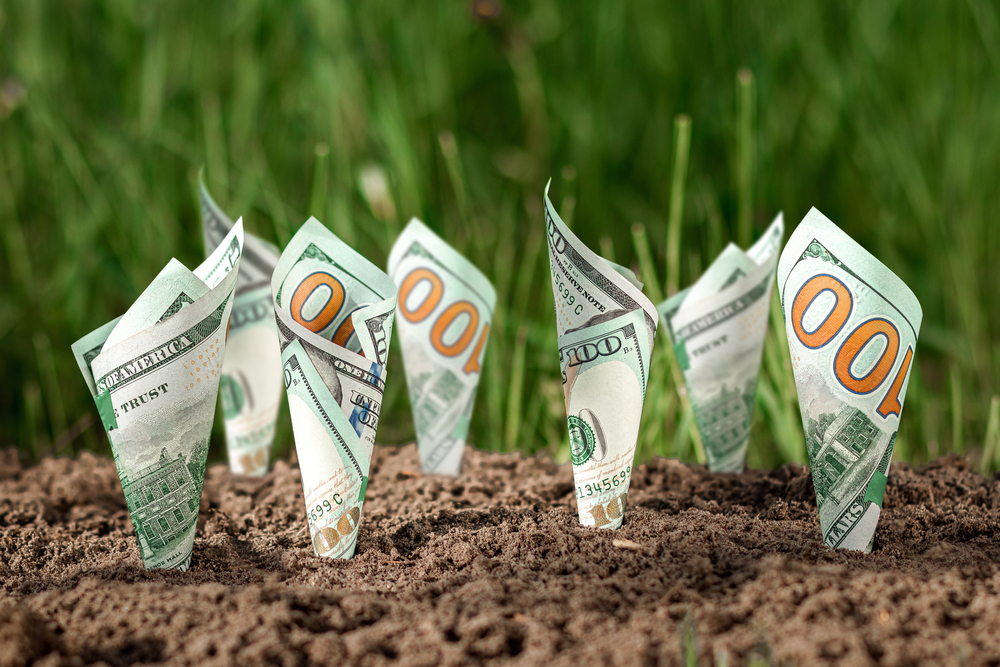 dólar dinheiro dividendos
