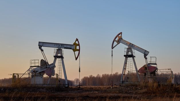 shutterstock_1704132469