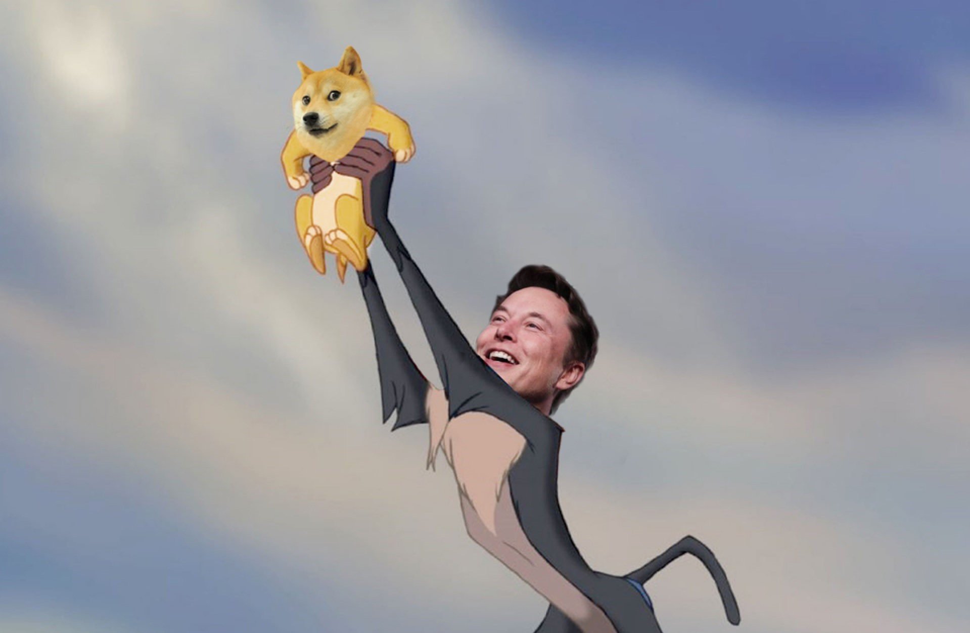 Elon Musk Dogecoin