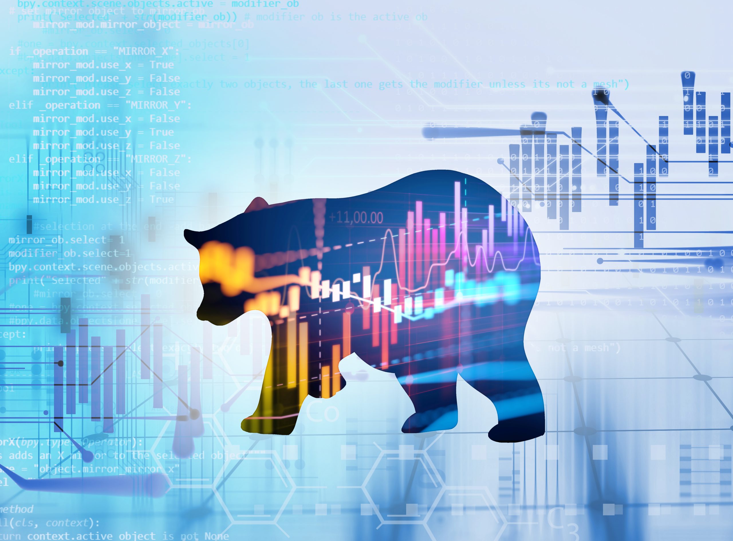urso na bolsa