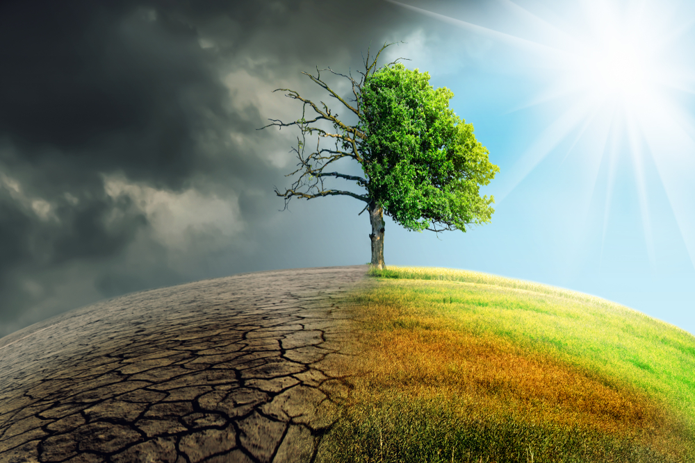 mudança climática