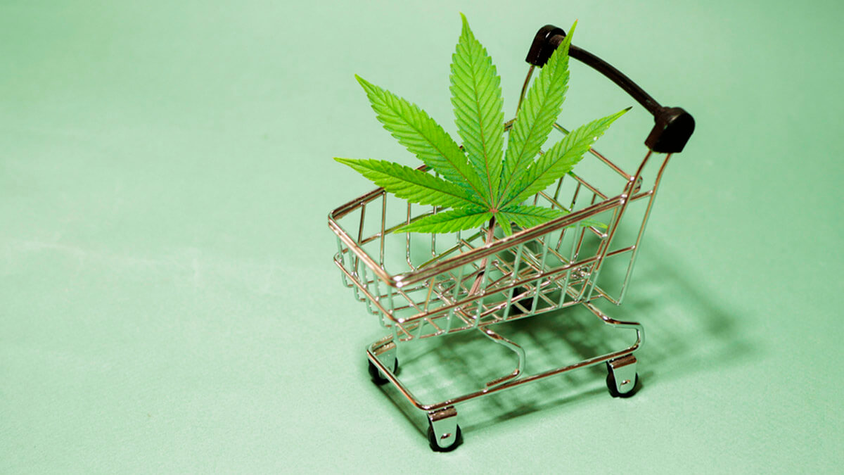 comércio maconha