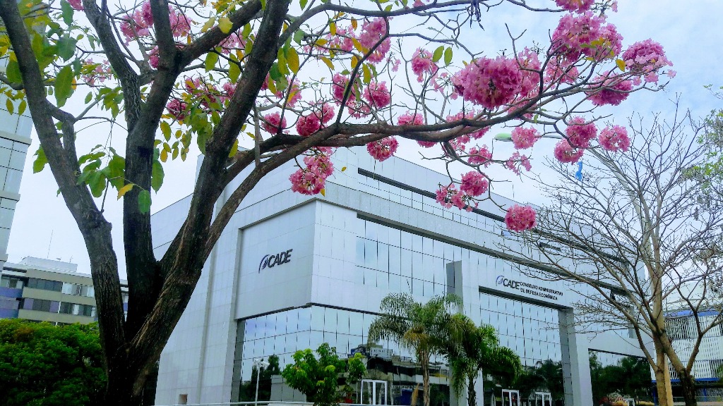 Sede do Conselho Administrativo de Defesa Econômica (Cade)