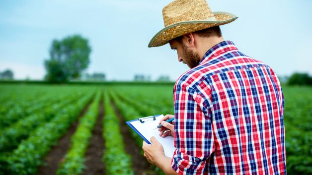 Farmer,Checking,Crop,In,A,Soybean,Field,And,Making,A