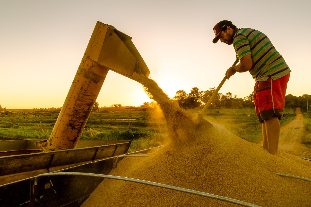 Agricultor e uma máquina despejando arroz