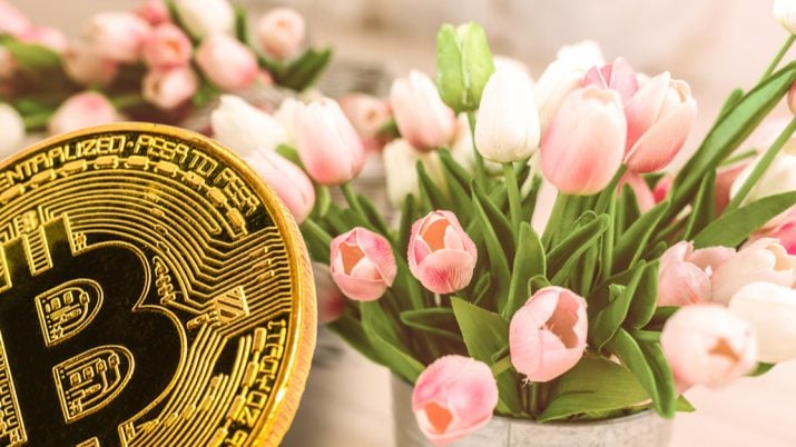 tulipas e bitcoin