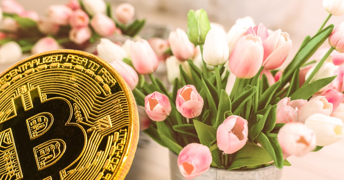 tulipas e bitcoin