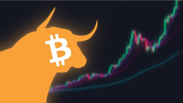 bull market, bitcoin, criptomoeda, bull