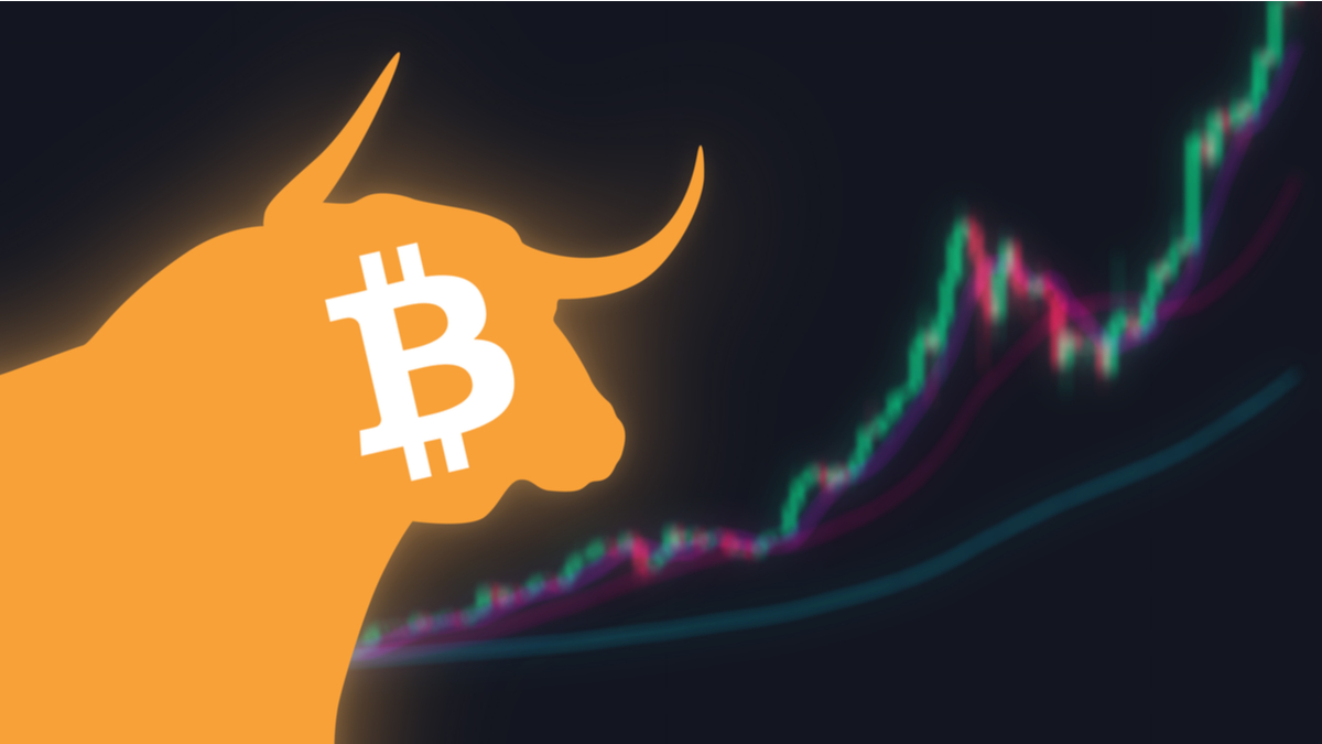 bull market, bitcoin, criptomoeda, bull
