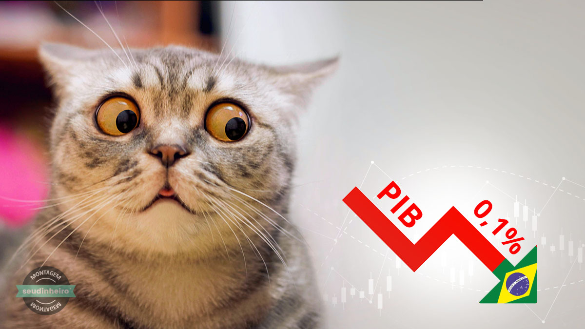 Montagem de gato espantado com seta em movimento de queda para o PIB