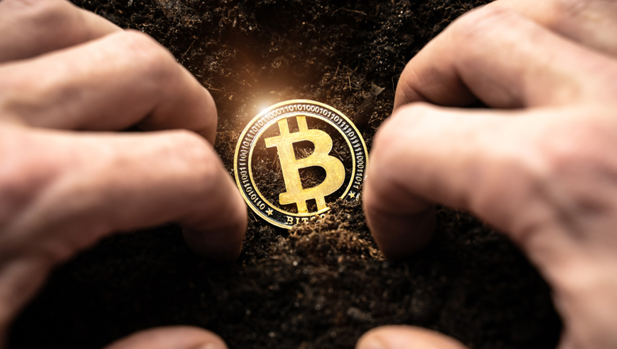 Pessoa descobre uma moeda de bitcoin