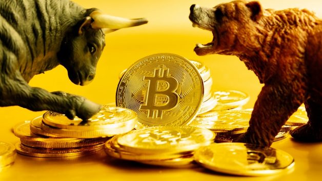 Touro e urso brigando pelos próximos passos do bitcoin
