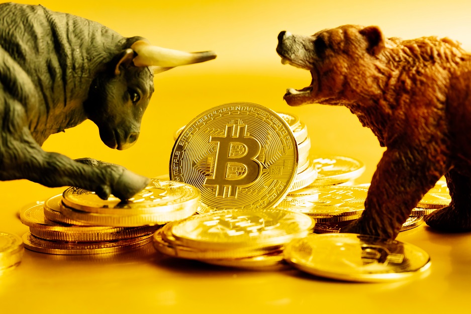 Touro e urso brigando pelos próximos passos do bitcoin