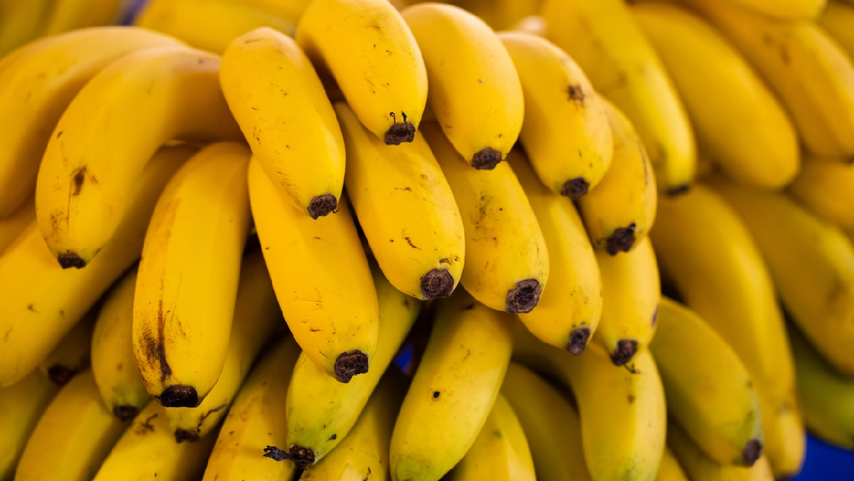 Foto de cachos de banana empilhados; a banana é uma importante fonte de potássio para o corpo humano