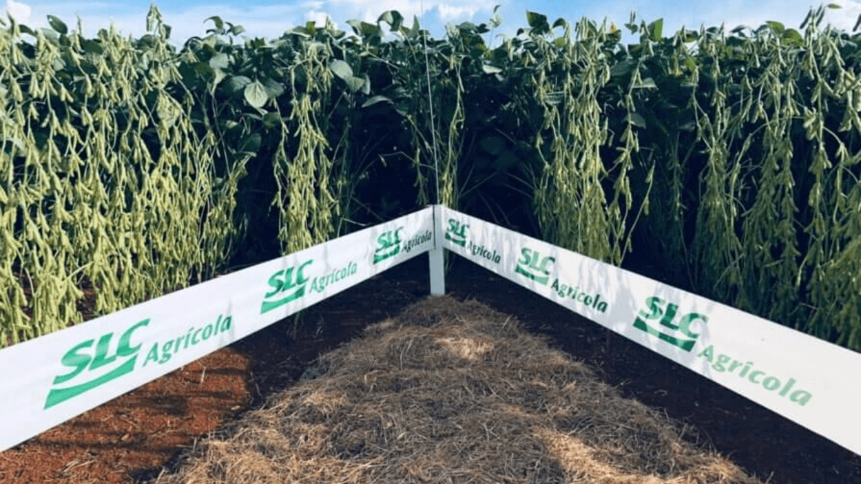 SLC Agrícola (SLCE3)