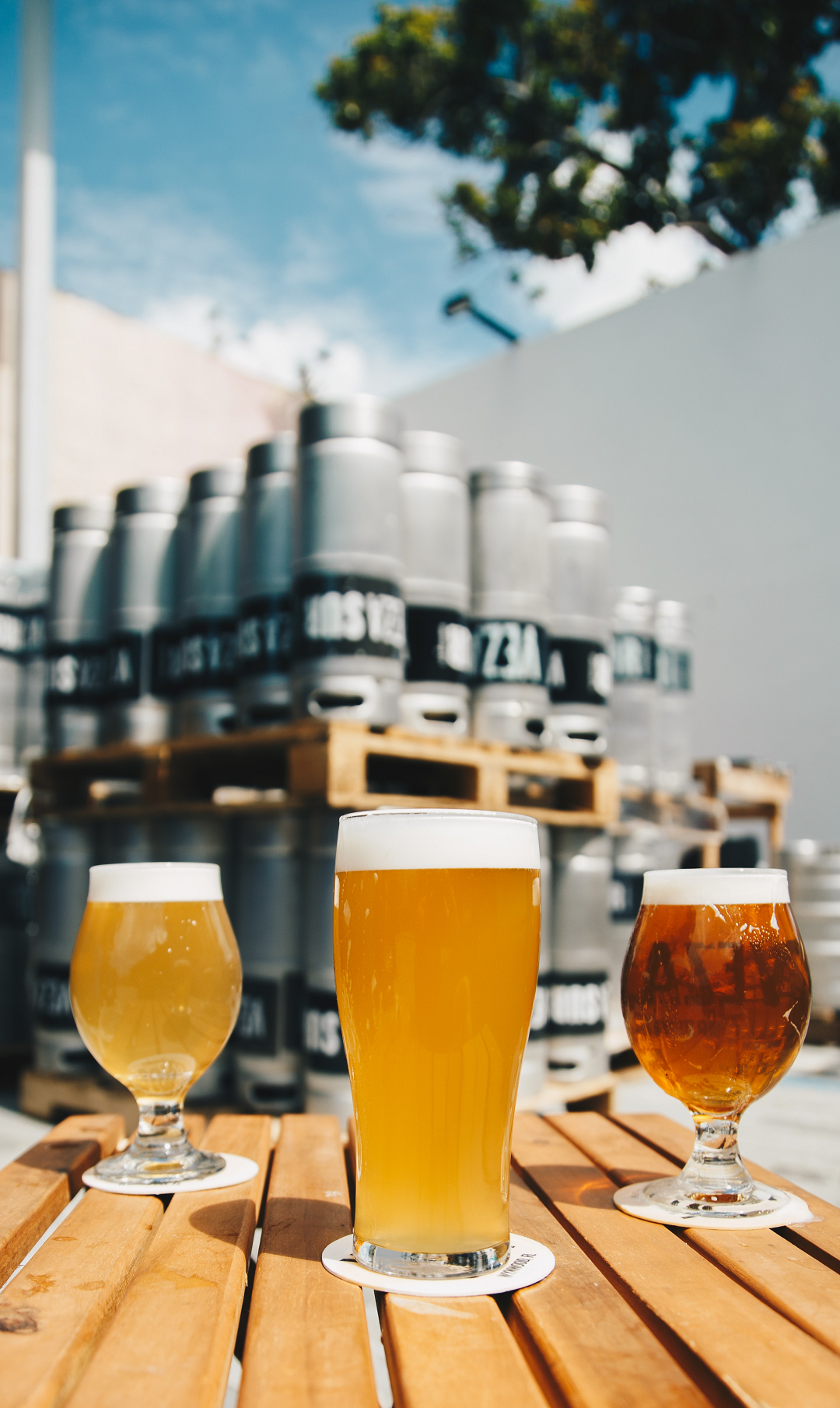cerveja