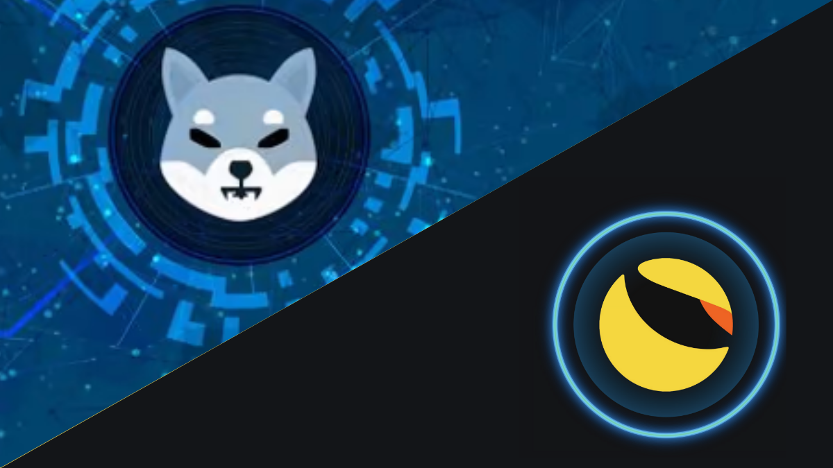 Shiba Inu (SHIB) pretende lançar stablecoin em meio a derretimento da Terra (LUNA)