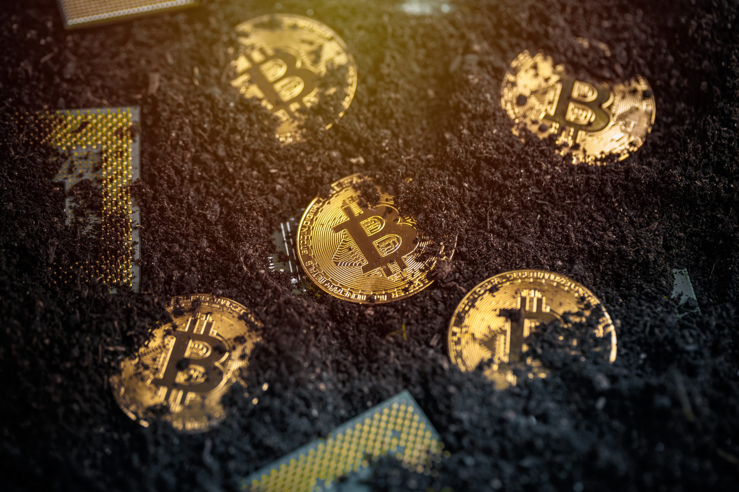 Várias moedas de Bitcoin sendo enterradas