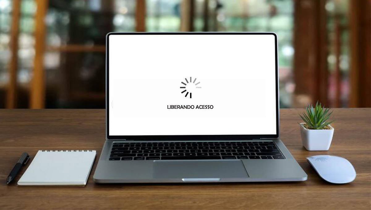 Imagem de computador liberando acesso para MEIs e Simples nacional