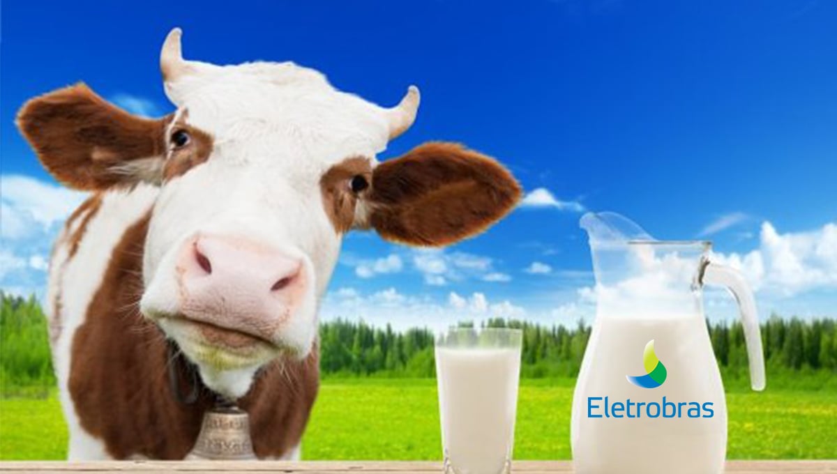 Eletrobras; Dividendos, vaca leiteira