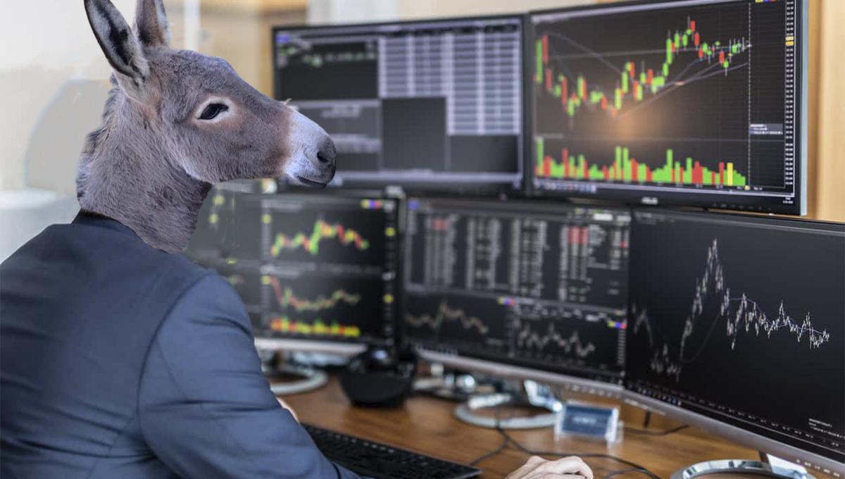 Se você é ‘burro e preguiçoso’ pode ficar milionário com day trade em 6 meses começando com R$ 1.000