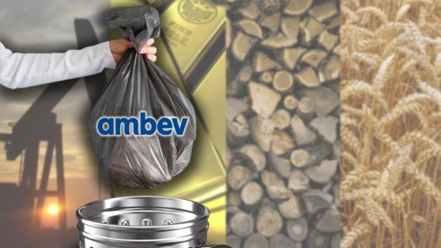 ambev abev3 commodities ação dividendos