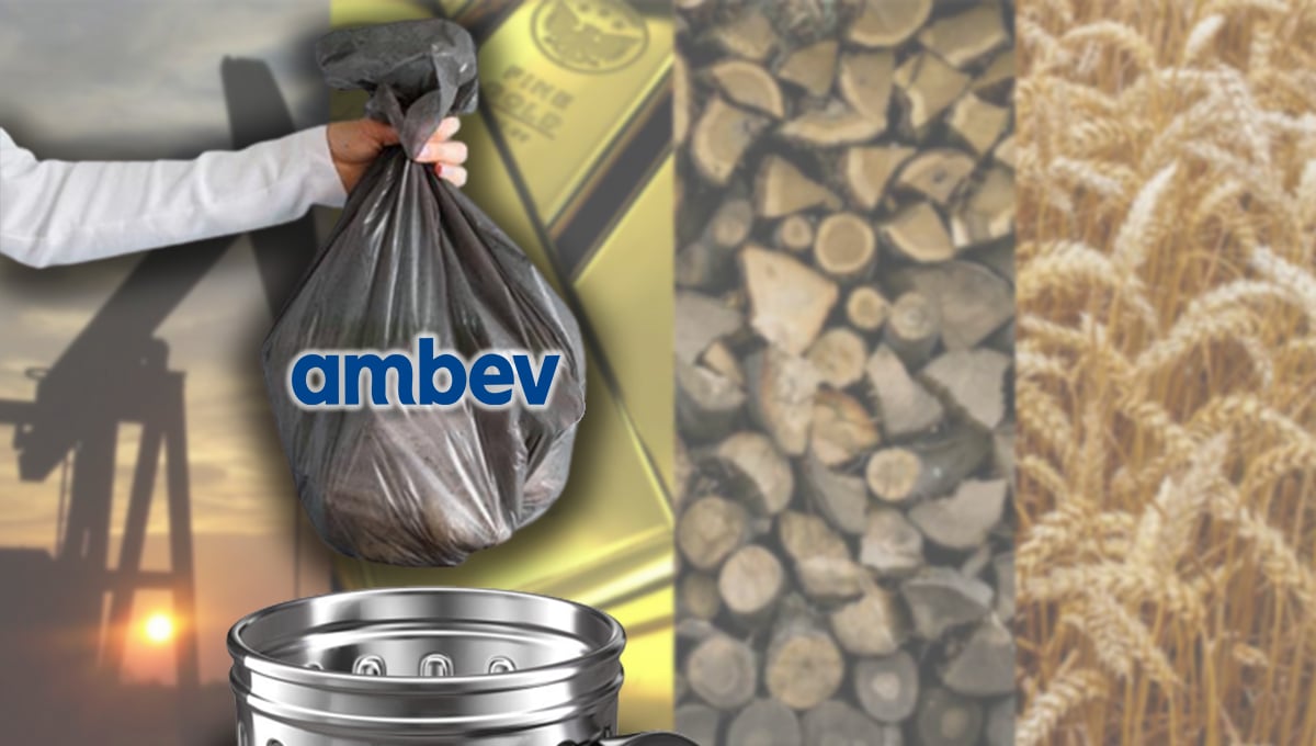 ambev abev3 commodities ação dividendos