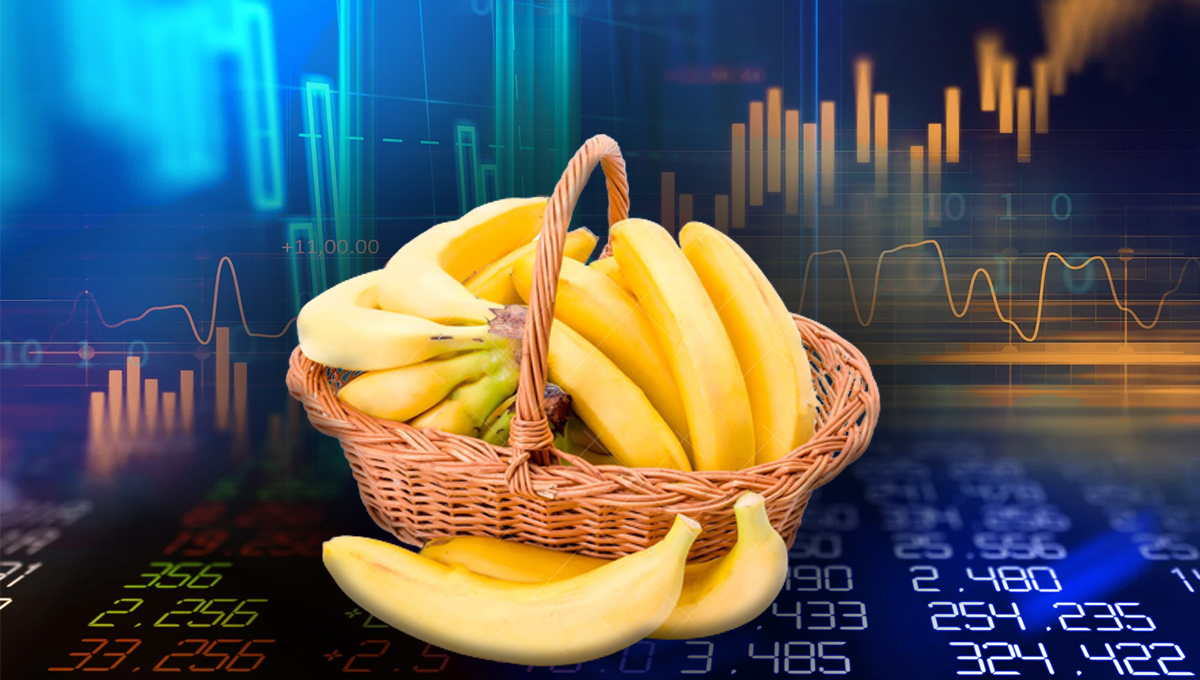 banana economia