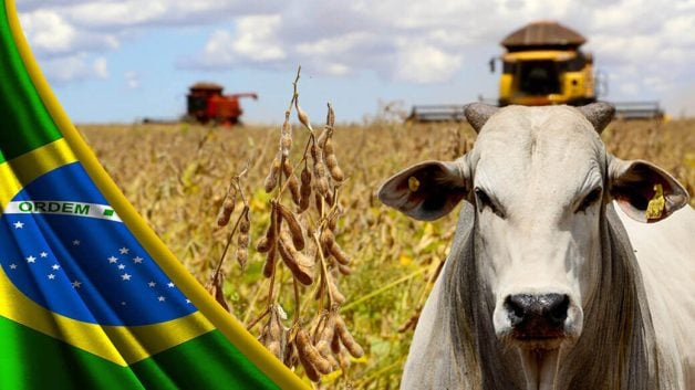 BrasilAgro agronegócio brasil