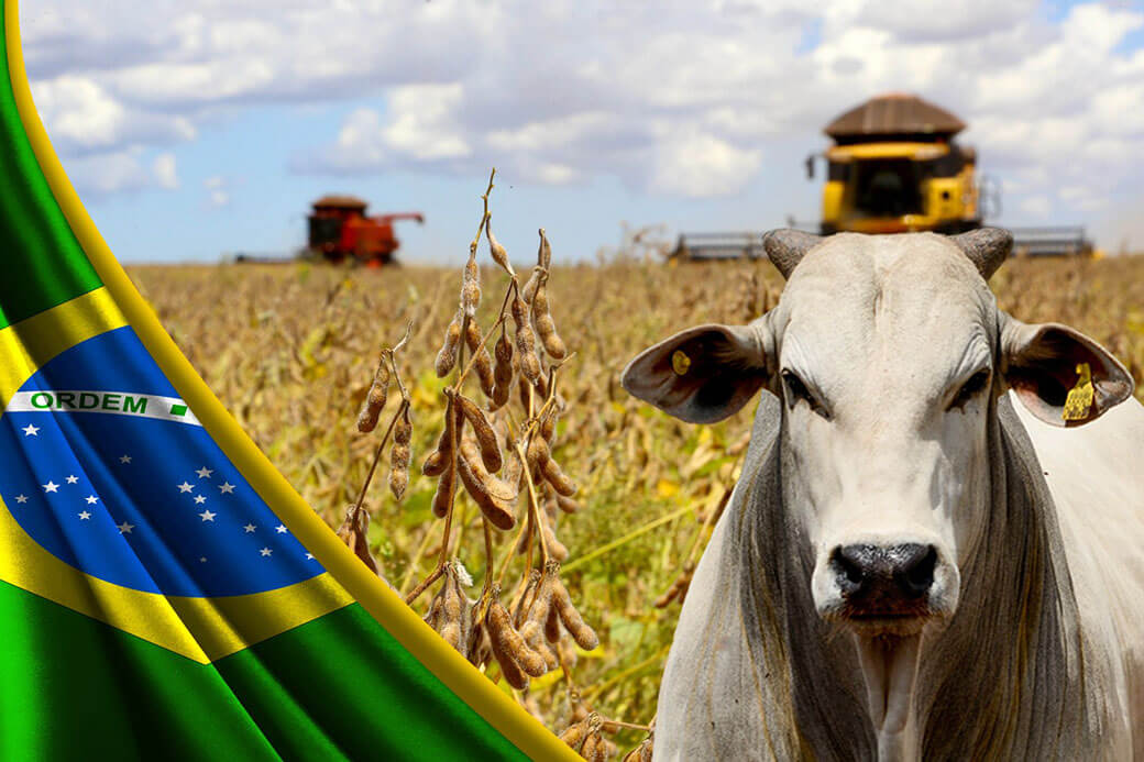 BrasilAgro agronegócio brasil