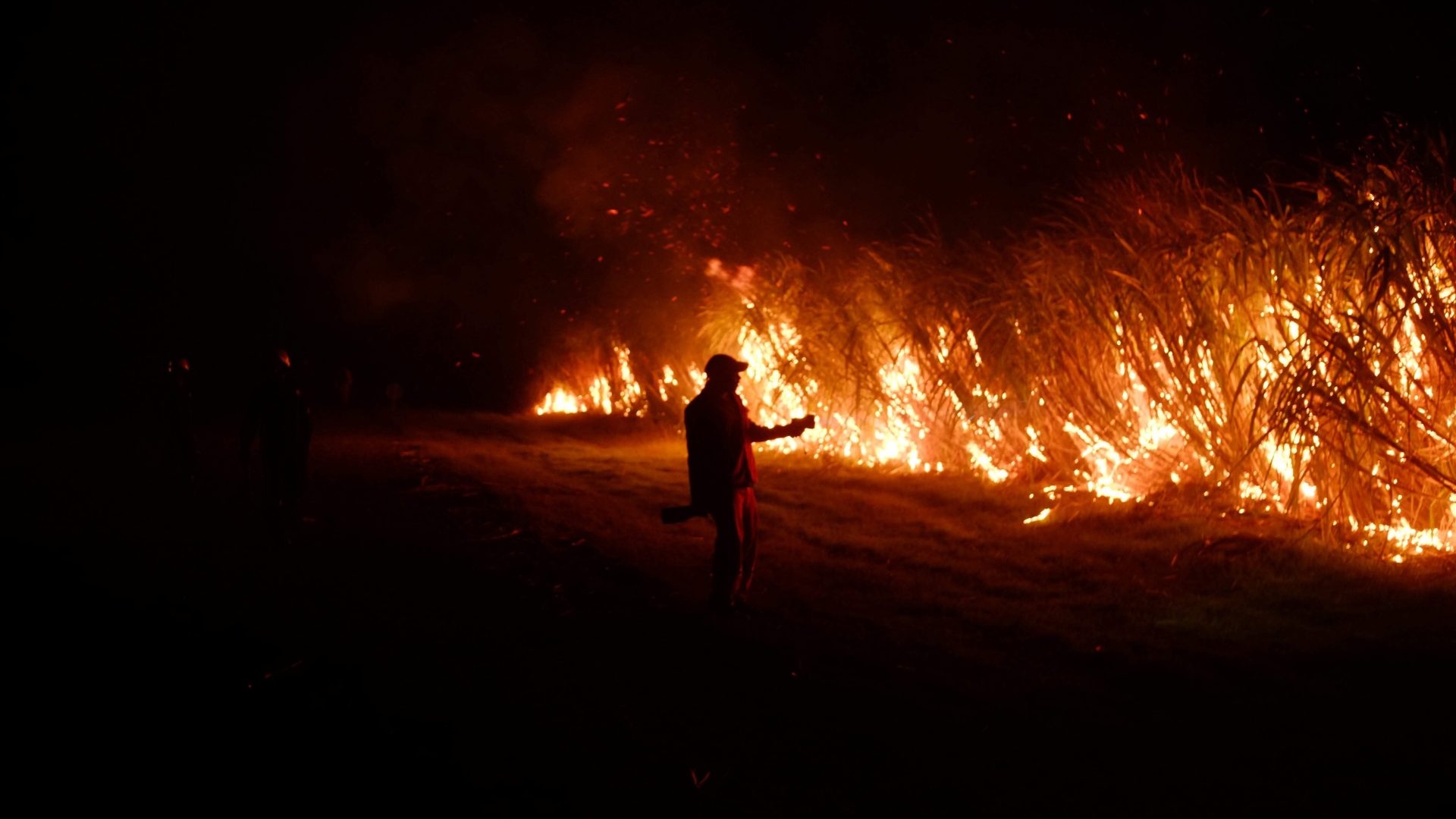 Ação de seguradora tem lucros milionários com seguros para o agronegócio brasileiro, uma potência global na qual ela é líder absoluta. Assim, ela se tornou indispensável no país para reduzir danos de acidentes como esse da foto.