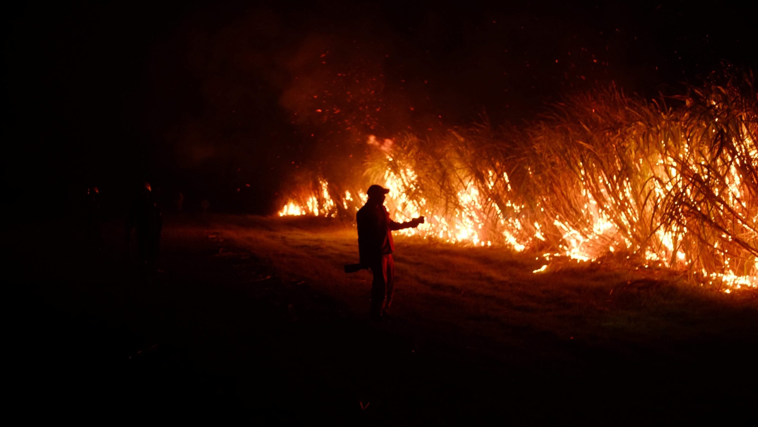Ação de seguradora tem lucros milionários com seguros para o agronegócio brasileiro, uma potência global na qual ela é líder absoluta. Assim, ela se tornou indispensável no país para reduzir danos de acidentes como esse da foto.
