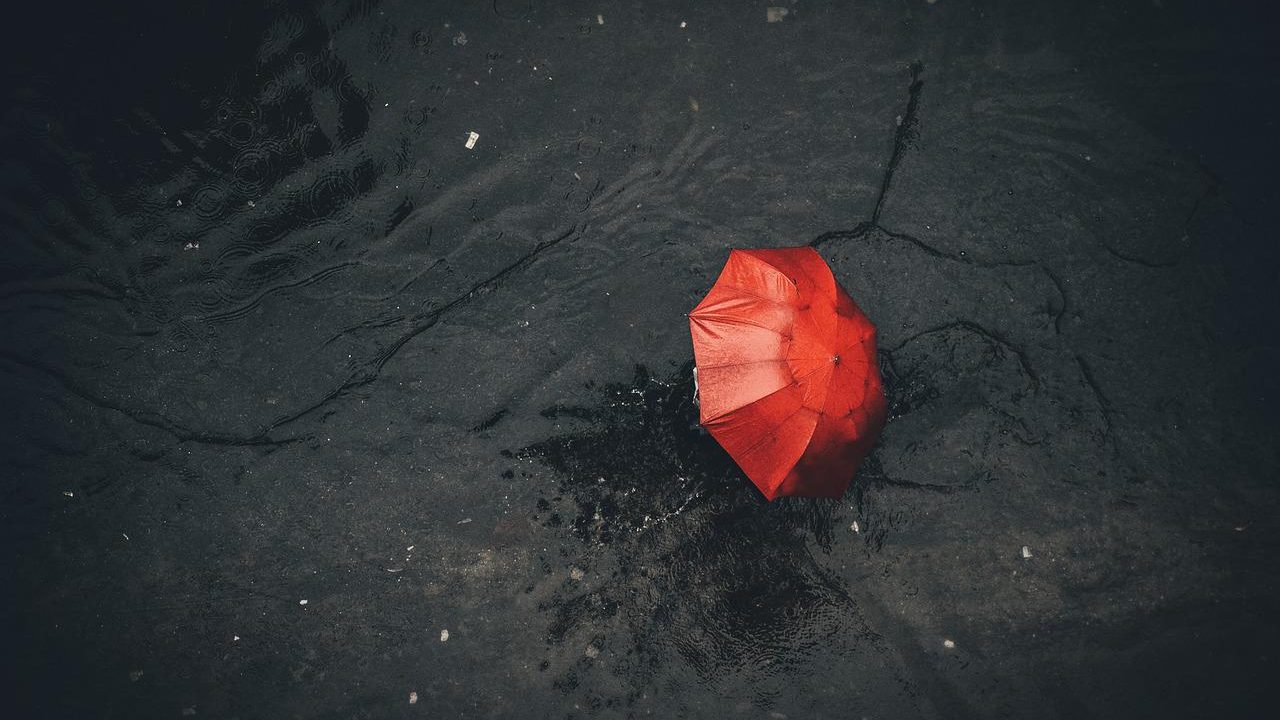 chuva, frio, guarda chuva