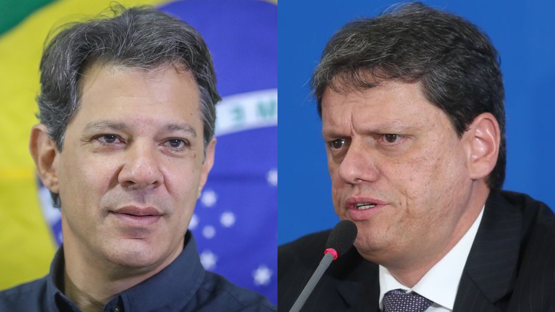 Fernando Haddad e Tarcísio Freitas