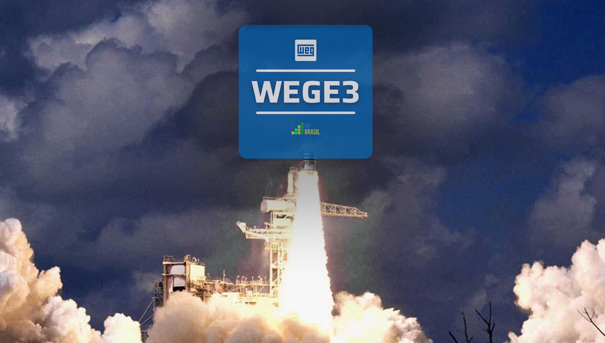 Logo da Weg decolando
