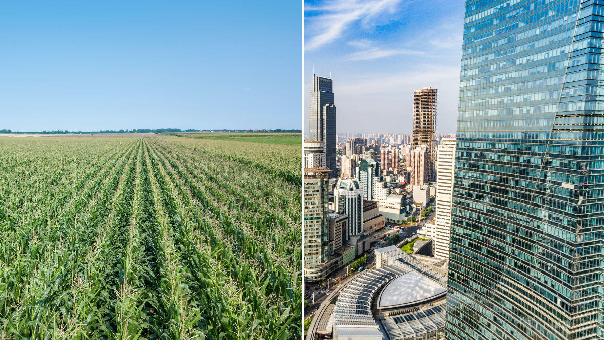 lcas e lcis agro e imobiliario