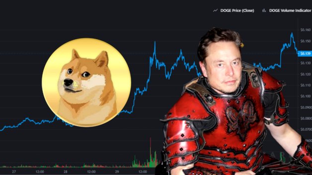 Elon Musk e dogecoin uma história de amor em criptomoedas