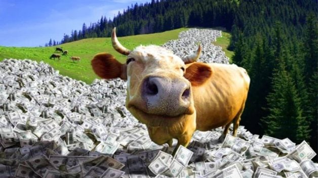 ação dividendos vaca leiteira