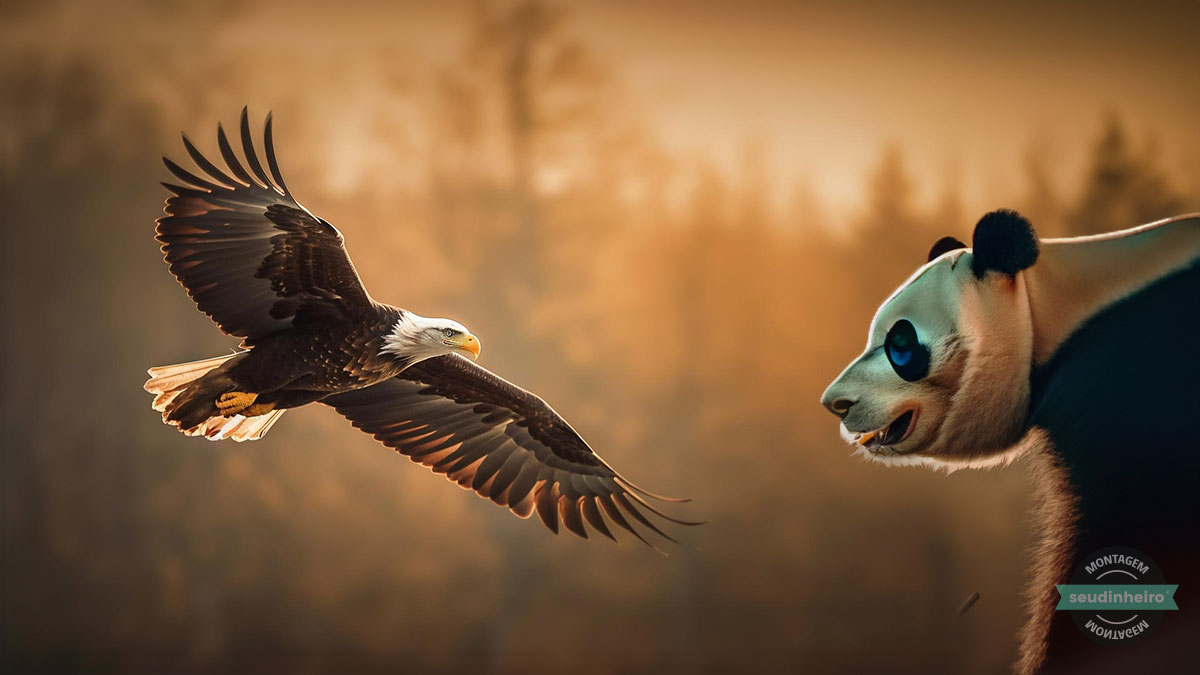 Águia careca e panda frente a frente