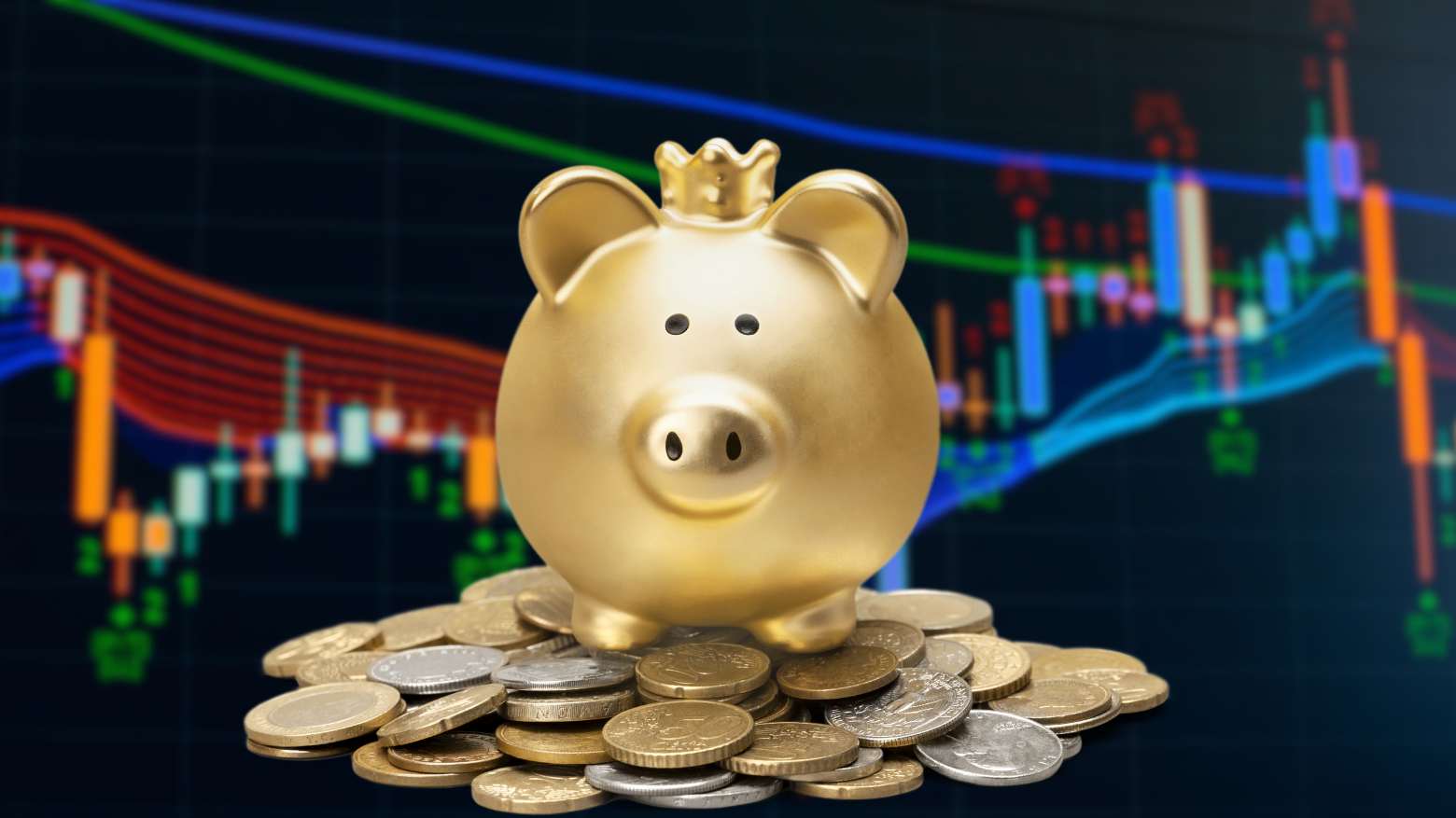 treinamento opções investimentos bolsa moedas porquinho