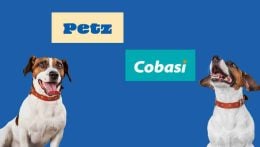 Ações da Petz (PETZ3) saltam quase 9% com expectativa renovada de aval do Cade para fusão com a Cobasi