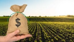 BB já desembolsou R$ 6,2 bilhões em financiamentos agropecuários via Plano Safra